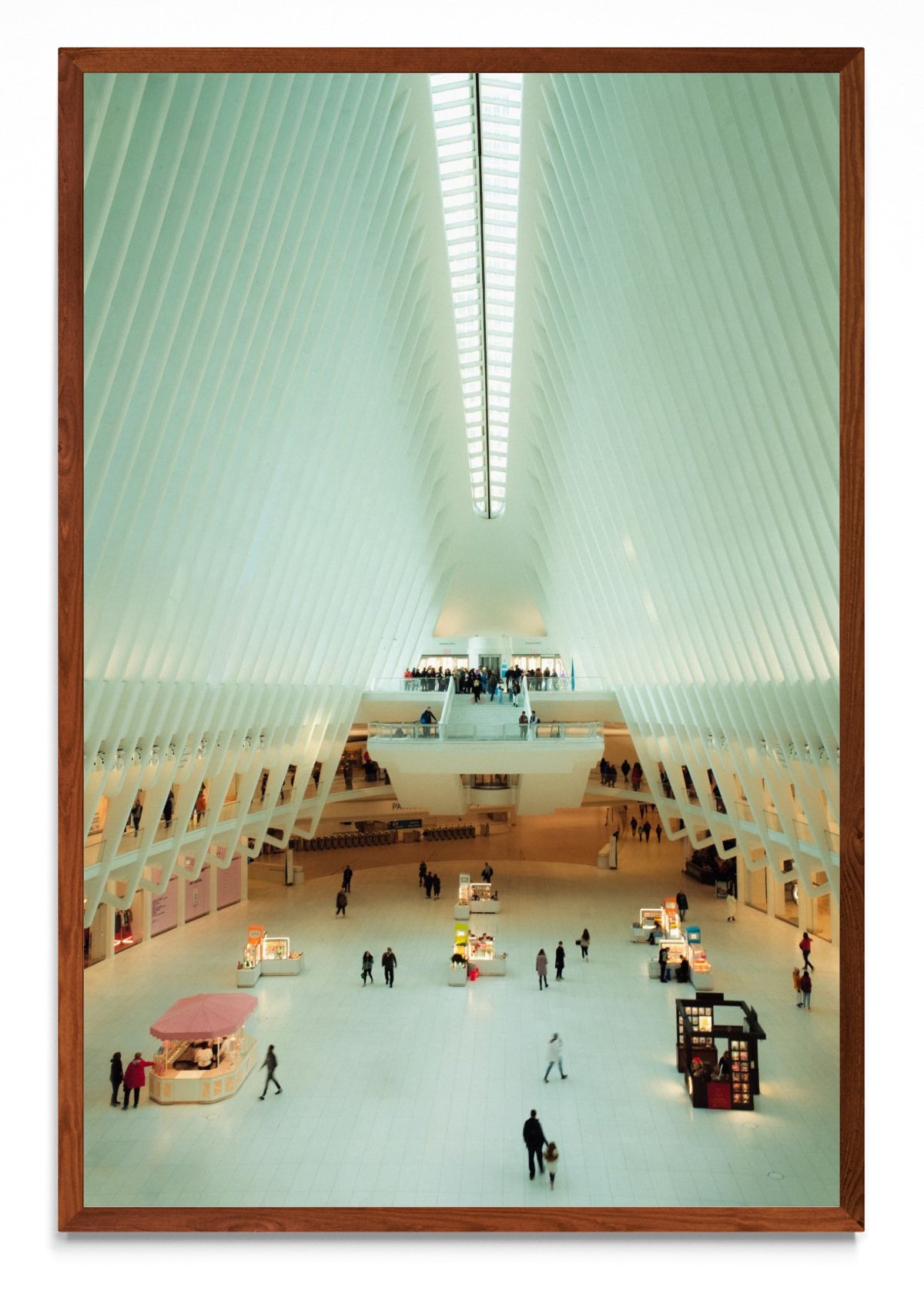 Oculus, NY - FotoV MO