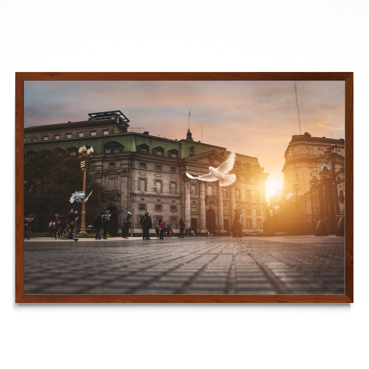 Plaza de Mayo - FotoH MO