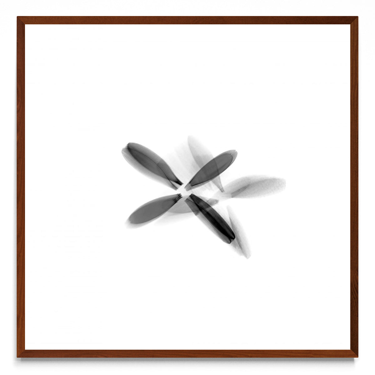 FLOR NEGRA (Serie VICEVERSA) - cuadrado MO