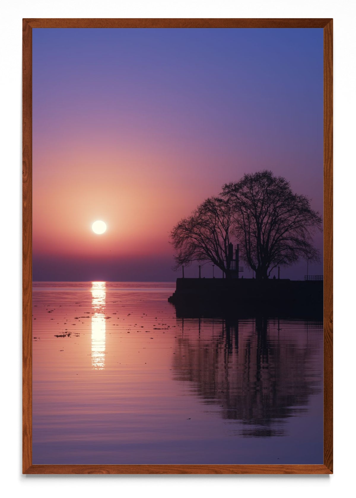 Violet sunrise - FotoV MO