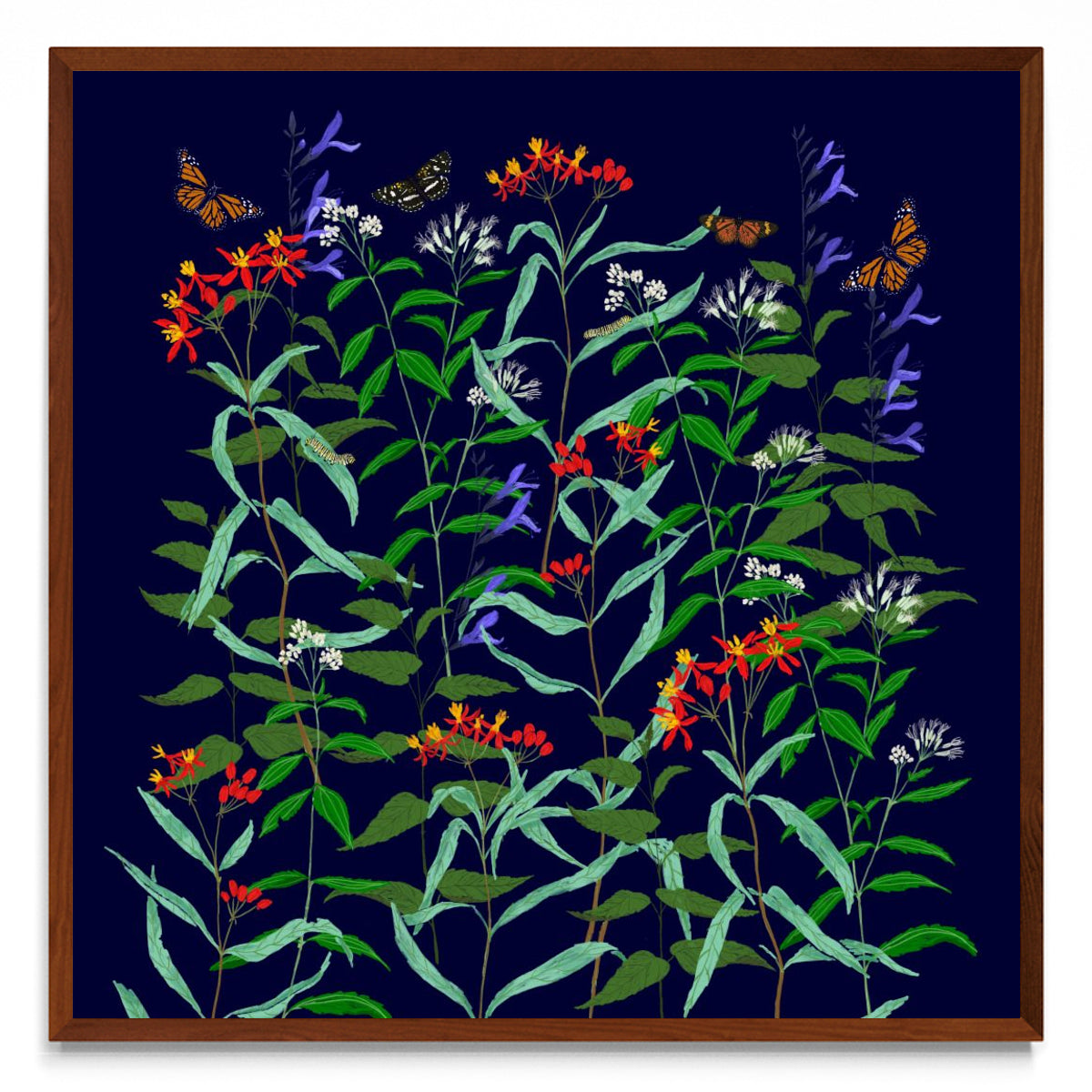 Jardín de Mariposas - cuadrado MO