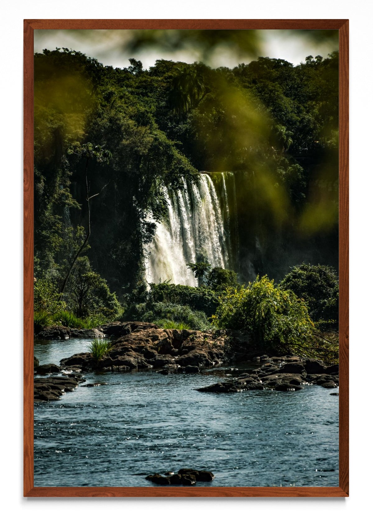 Susurros de la Selva - FotoV MO