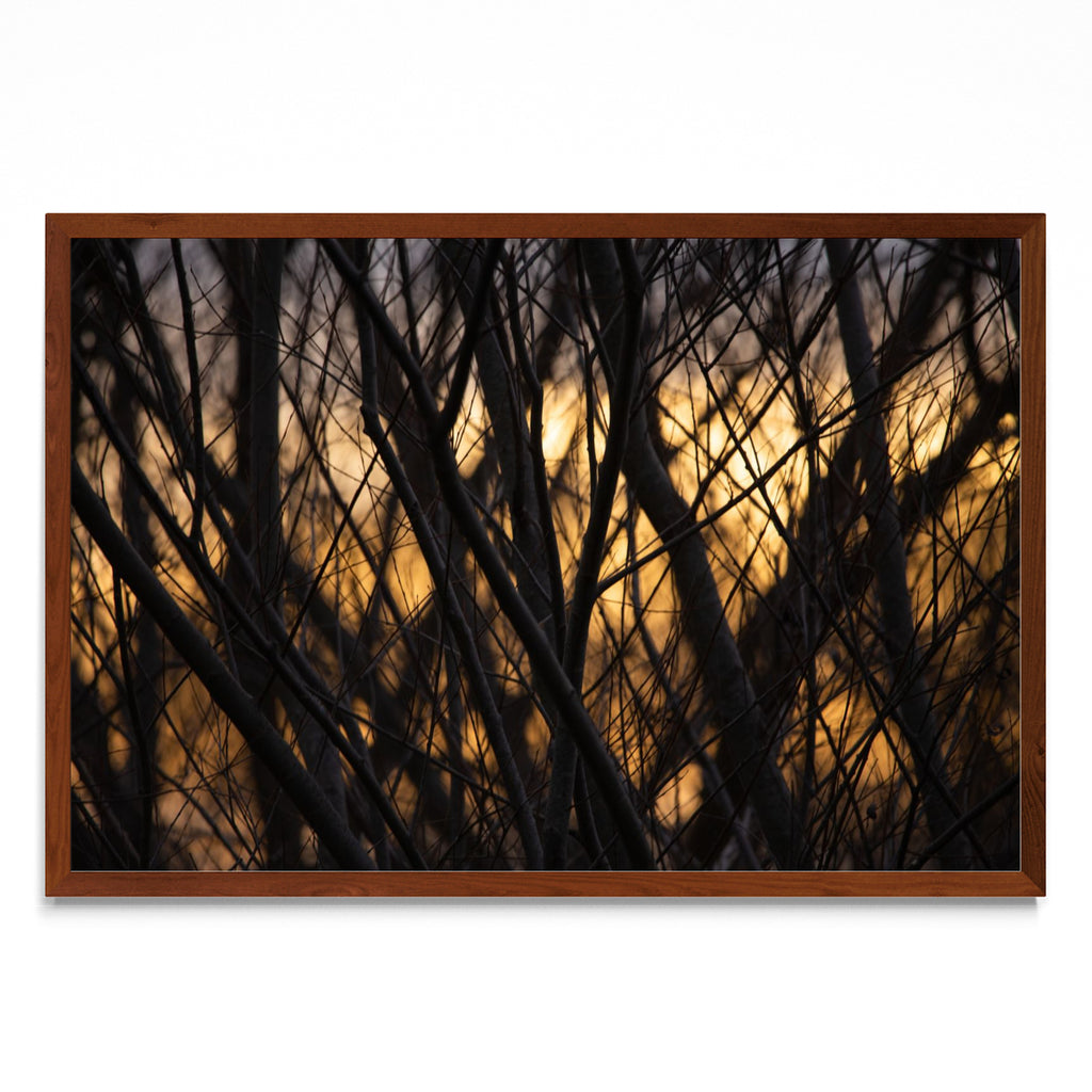 Atardece invierno - FotoH MO