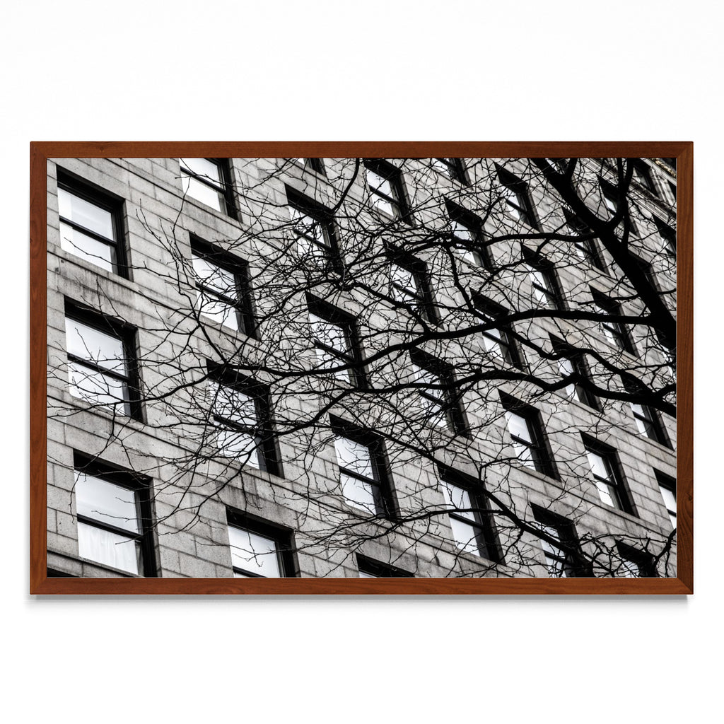 Ventanas de Boston - FotoH MO