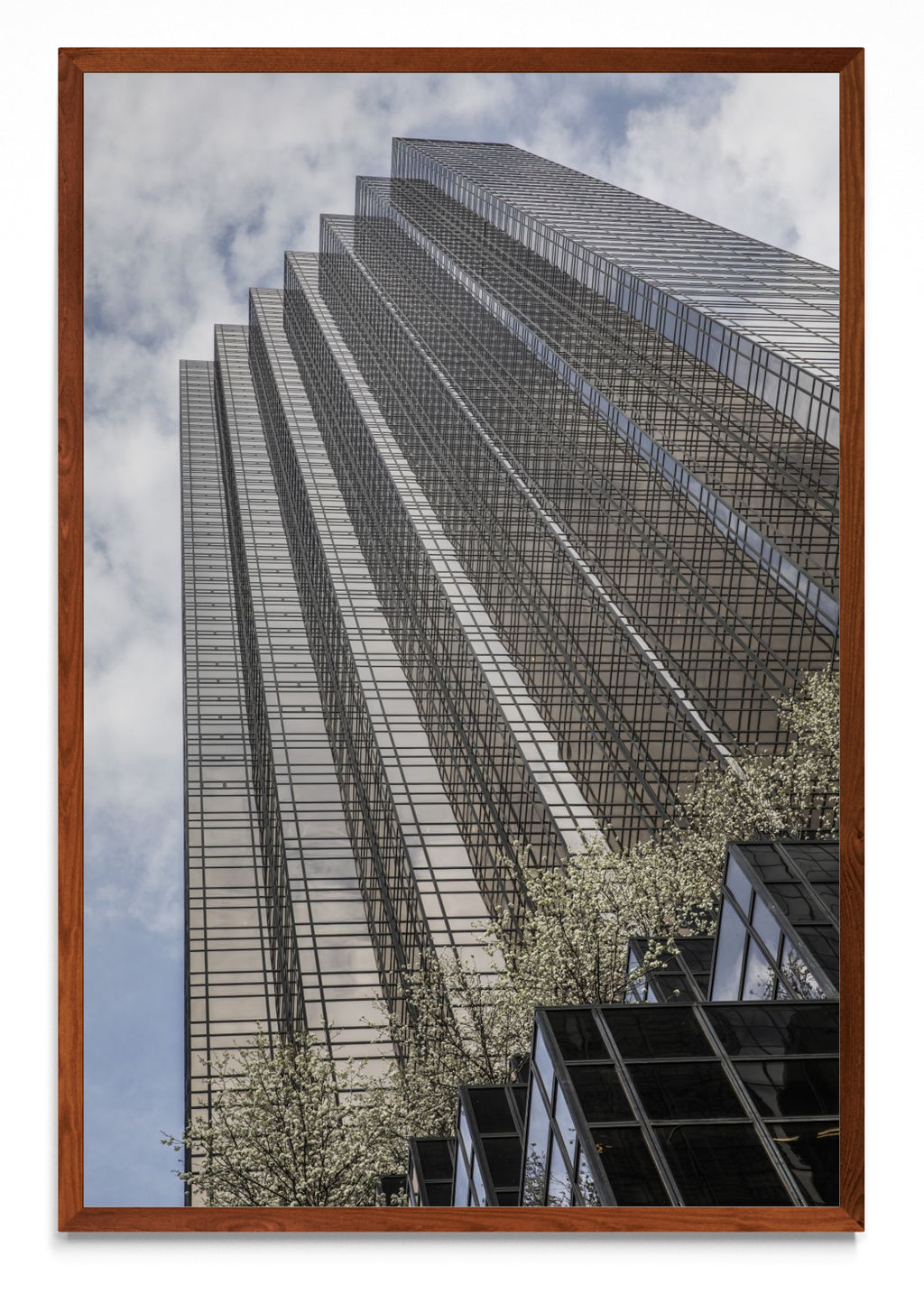 Trump Tower, 5th Avenue - FotoV MO