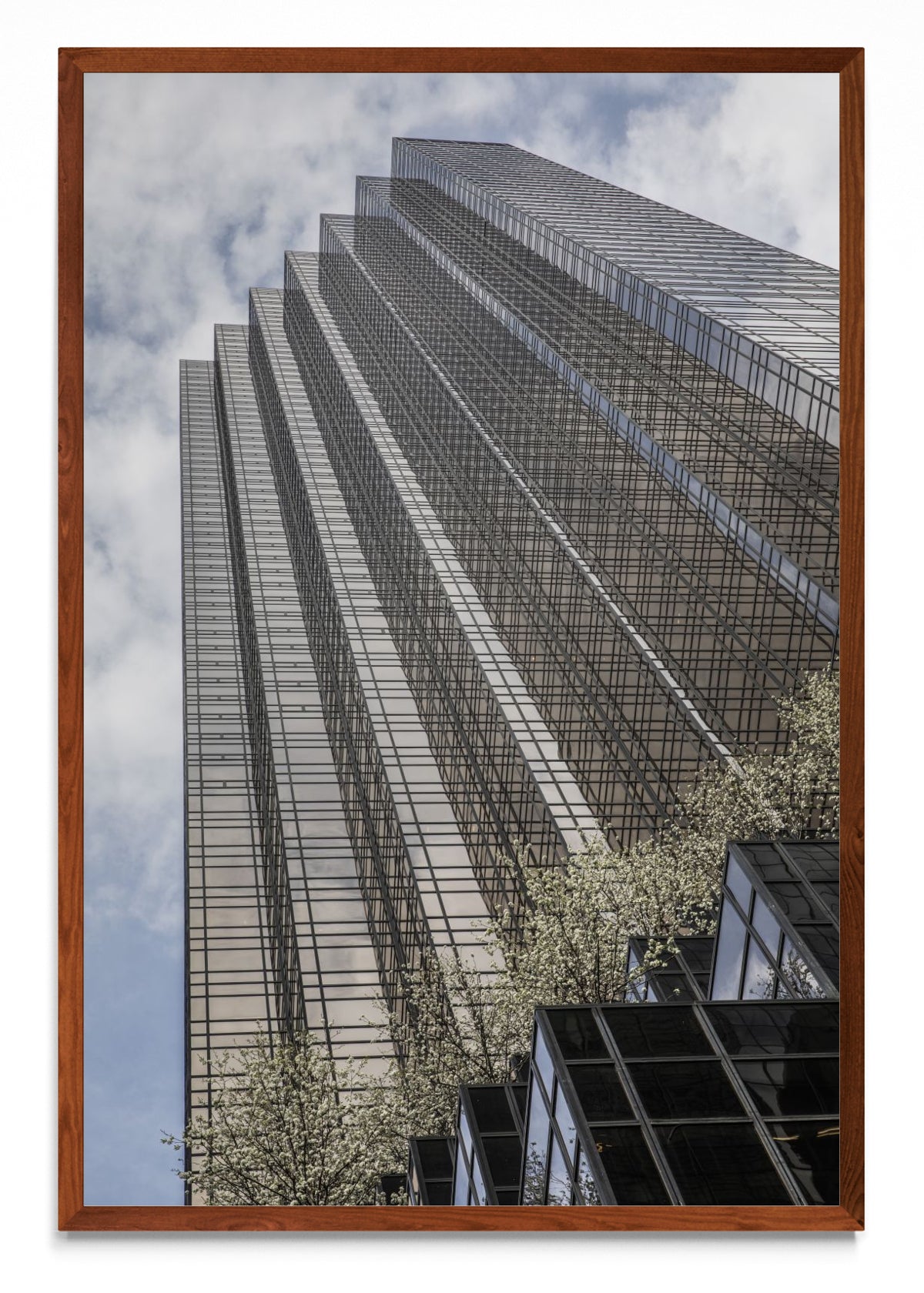 Trump Tower, 5th Avenue - FotoV MO