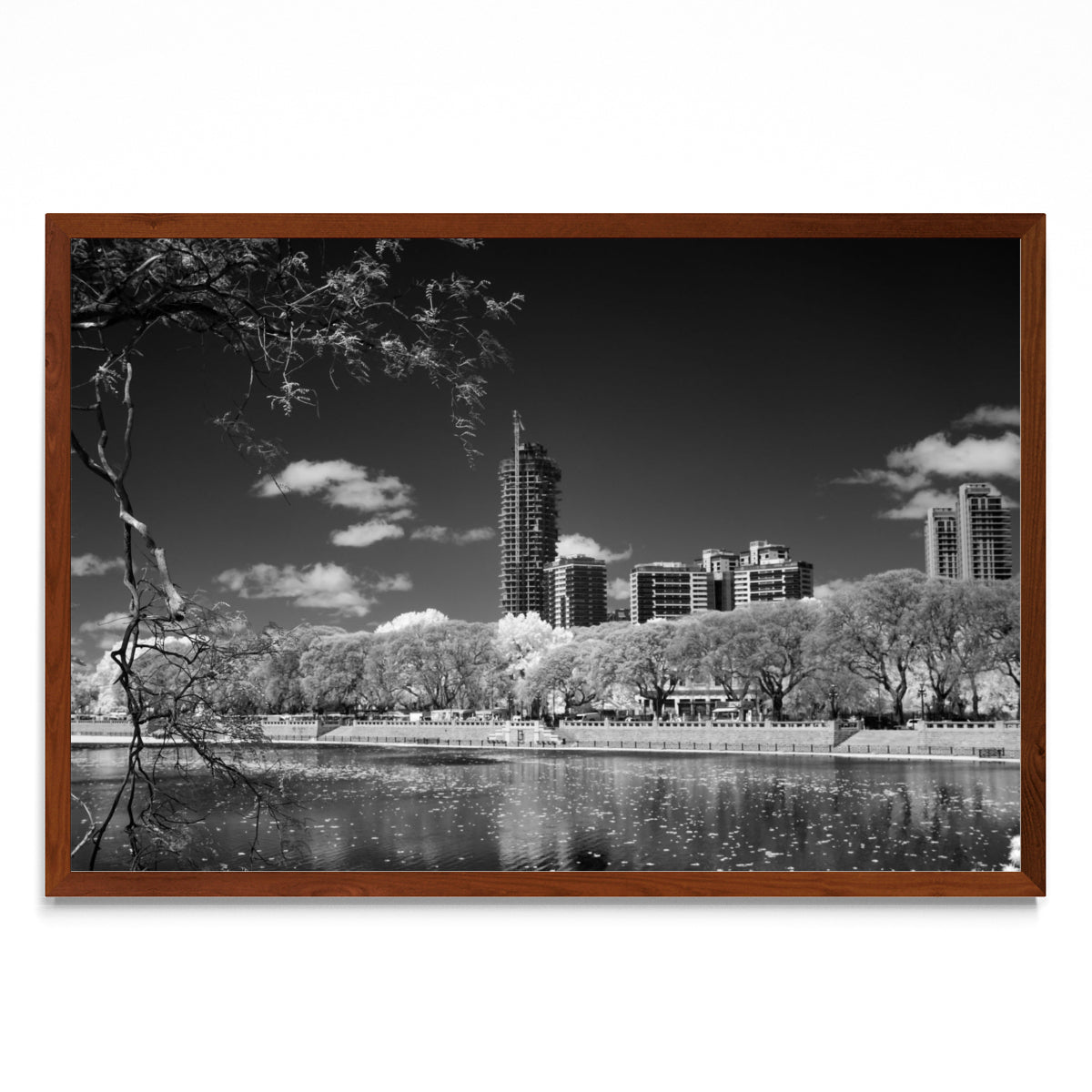 Reserva ecológica Costanera Sur - FotoH MO