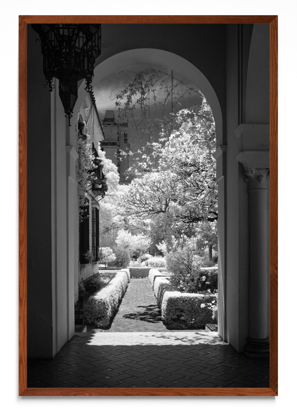 Garden - FotoV MO