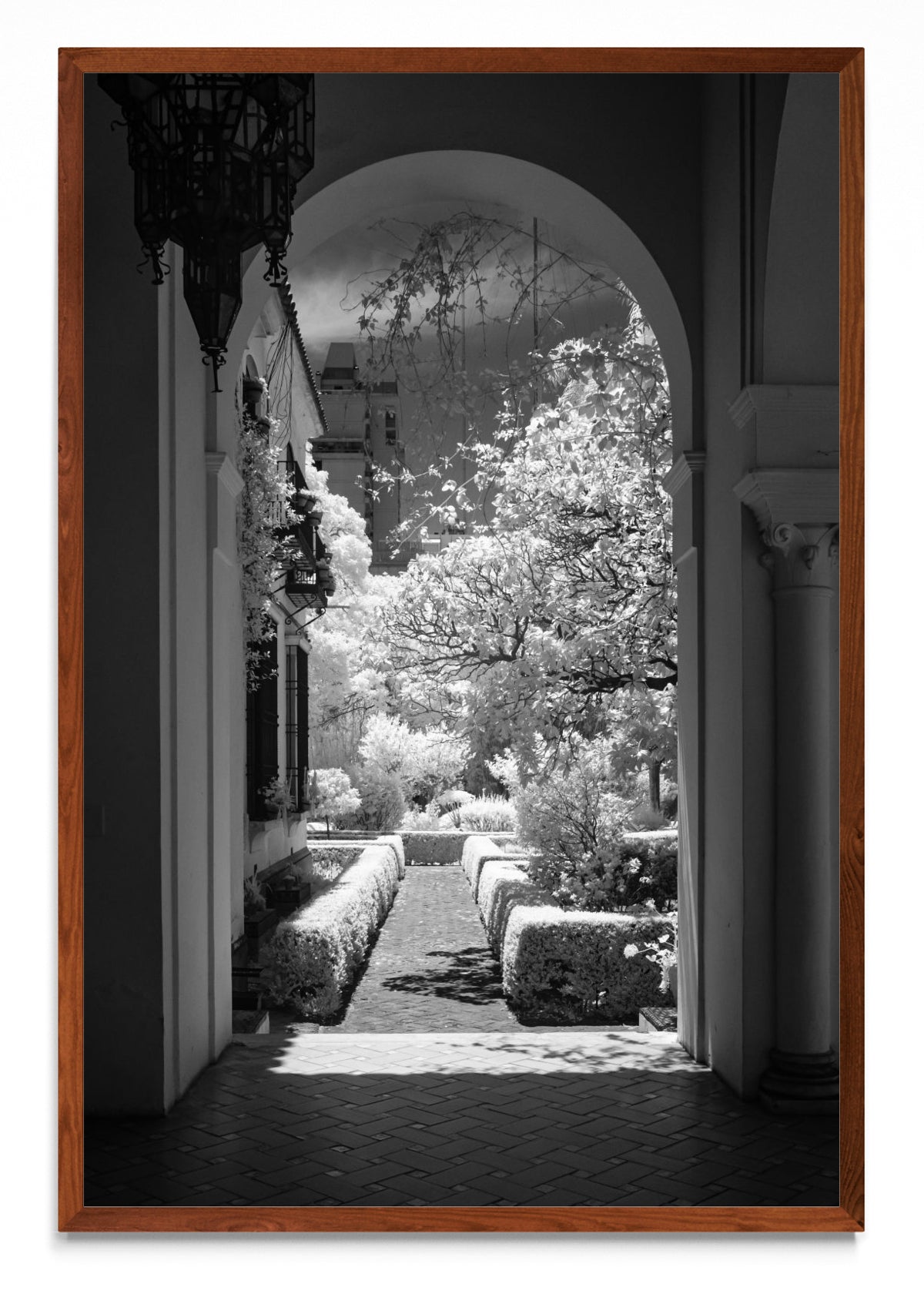 Garden - FotoV MO