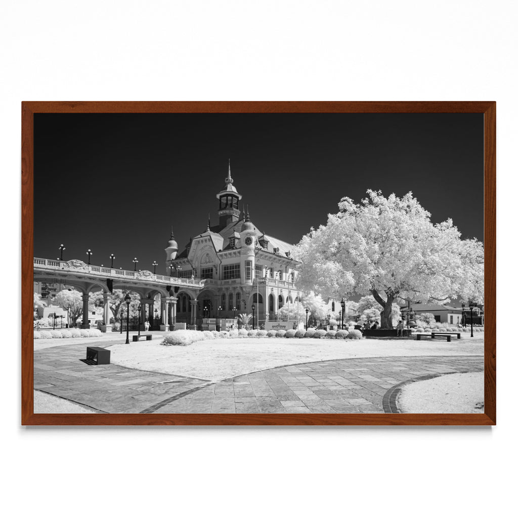Museo de Arte Tigre - FotoH MO