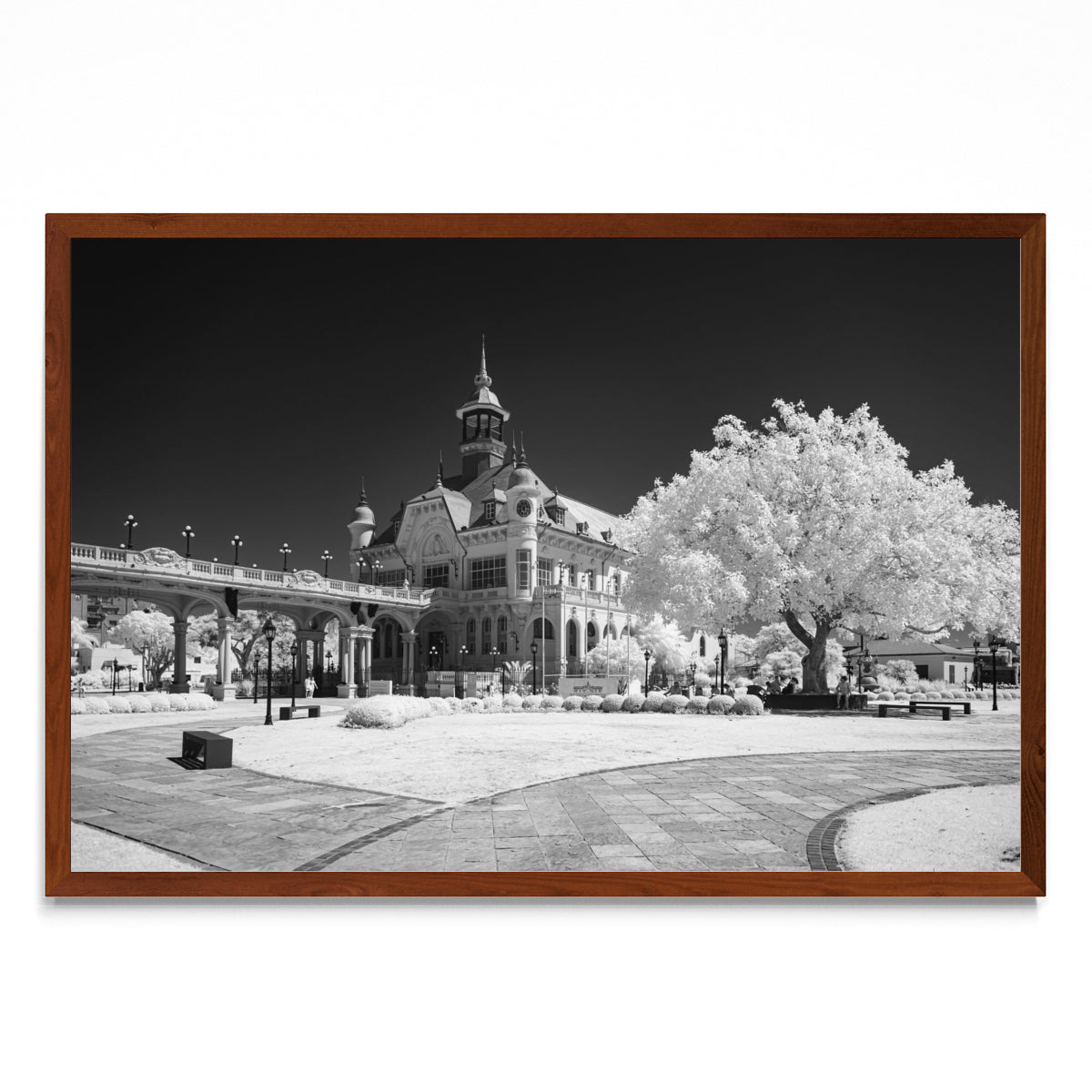 Museo de Arte Tigre - FotoH MO
