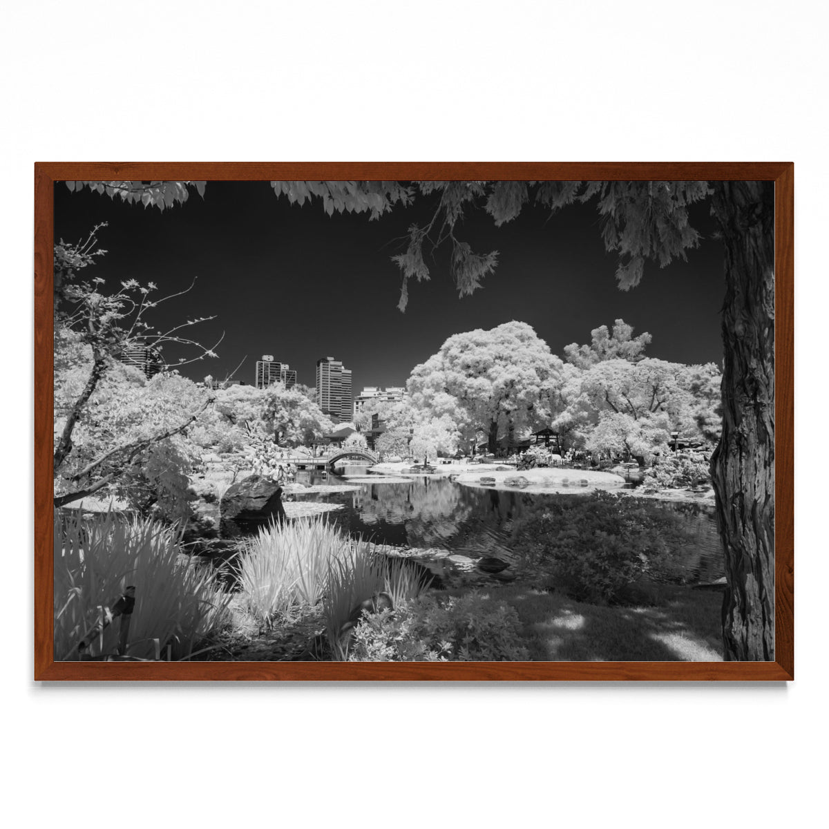 Jardín Japones - FotoH MO