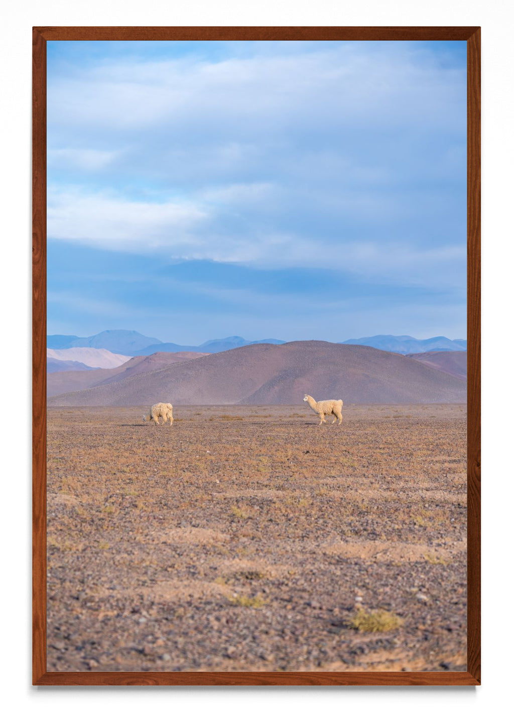 Llamas en la distancia - FotoV MO