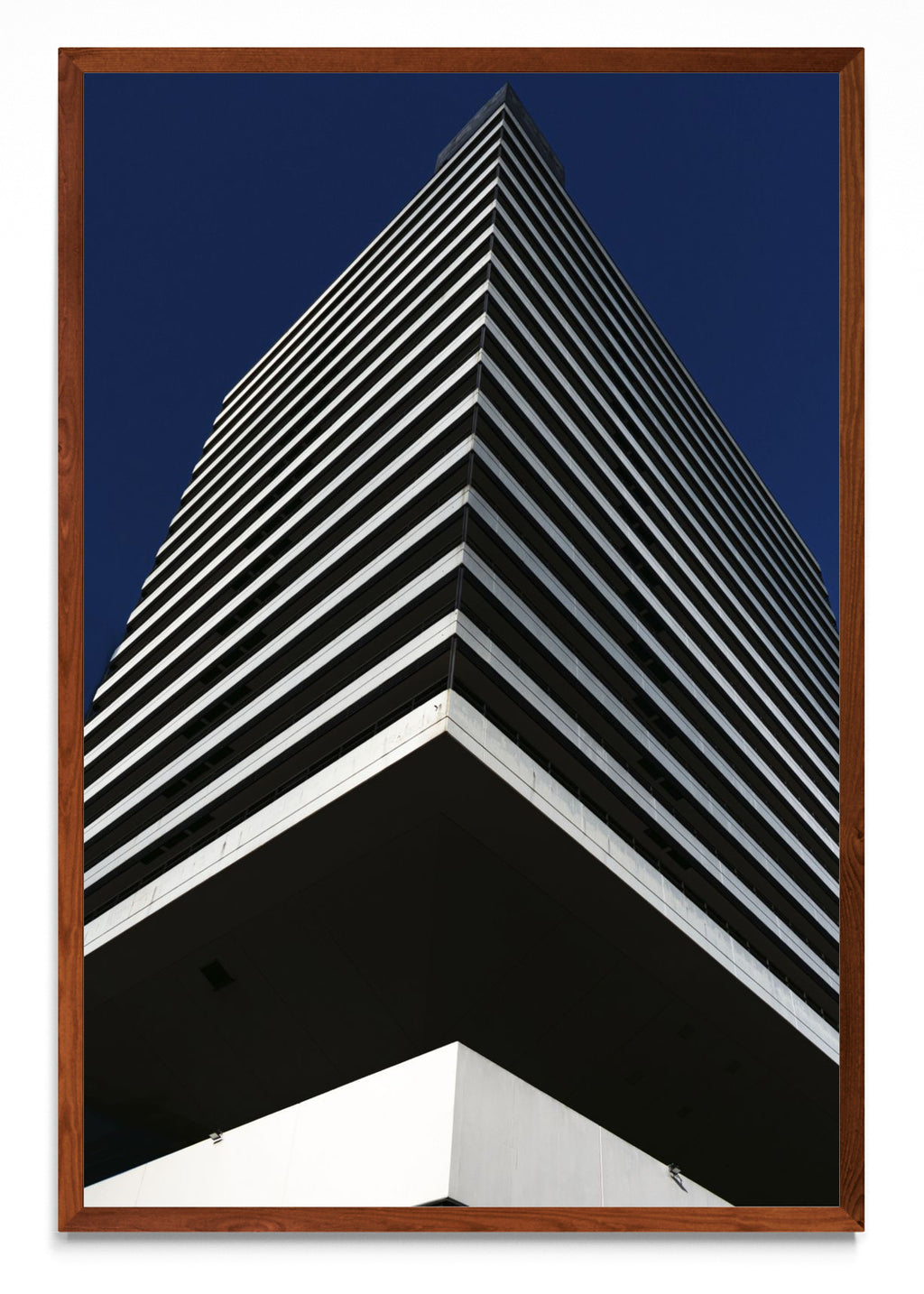 IBM - FotoV MO