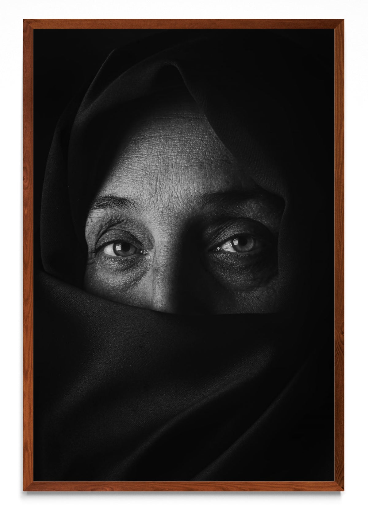Resiliencia - FotoV MO