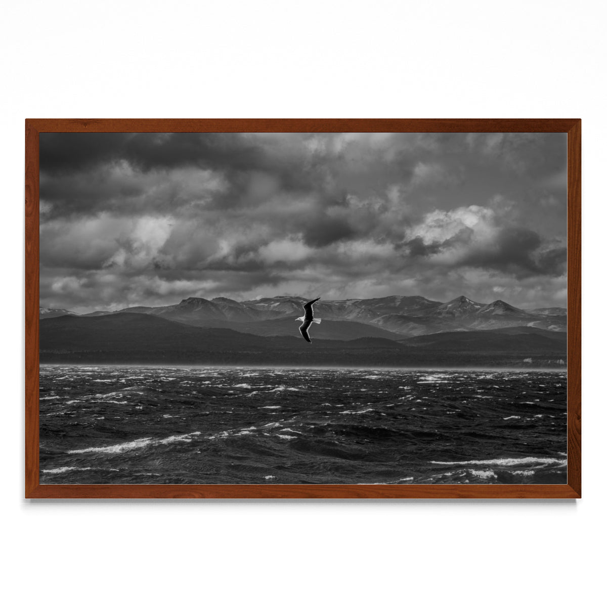 Libertad - FotoH MO