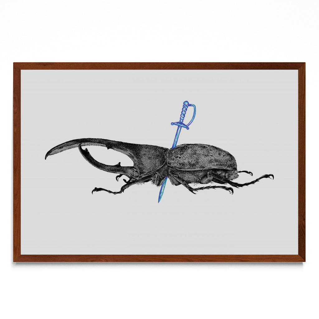 Dynastes Hercules - FotoH MO