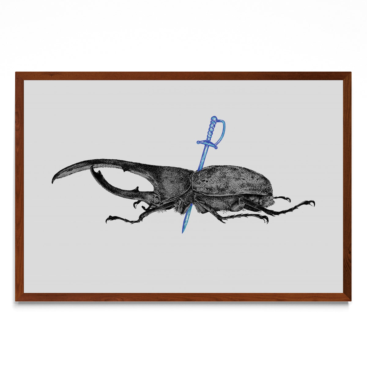 Dynastes Hercules - FotoH MO