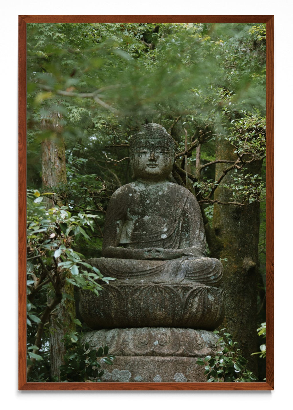 Kyoto Buda - FotoV MO