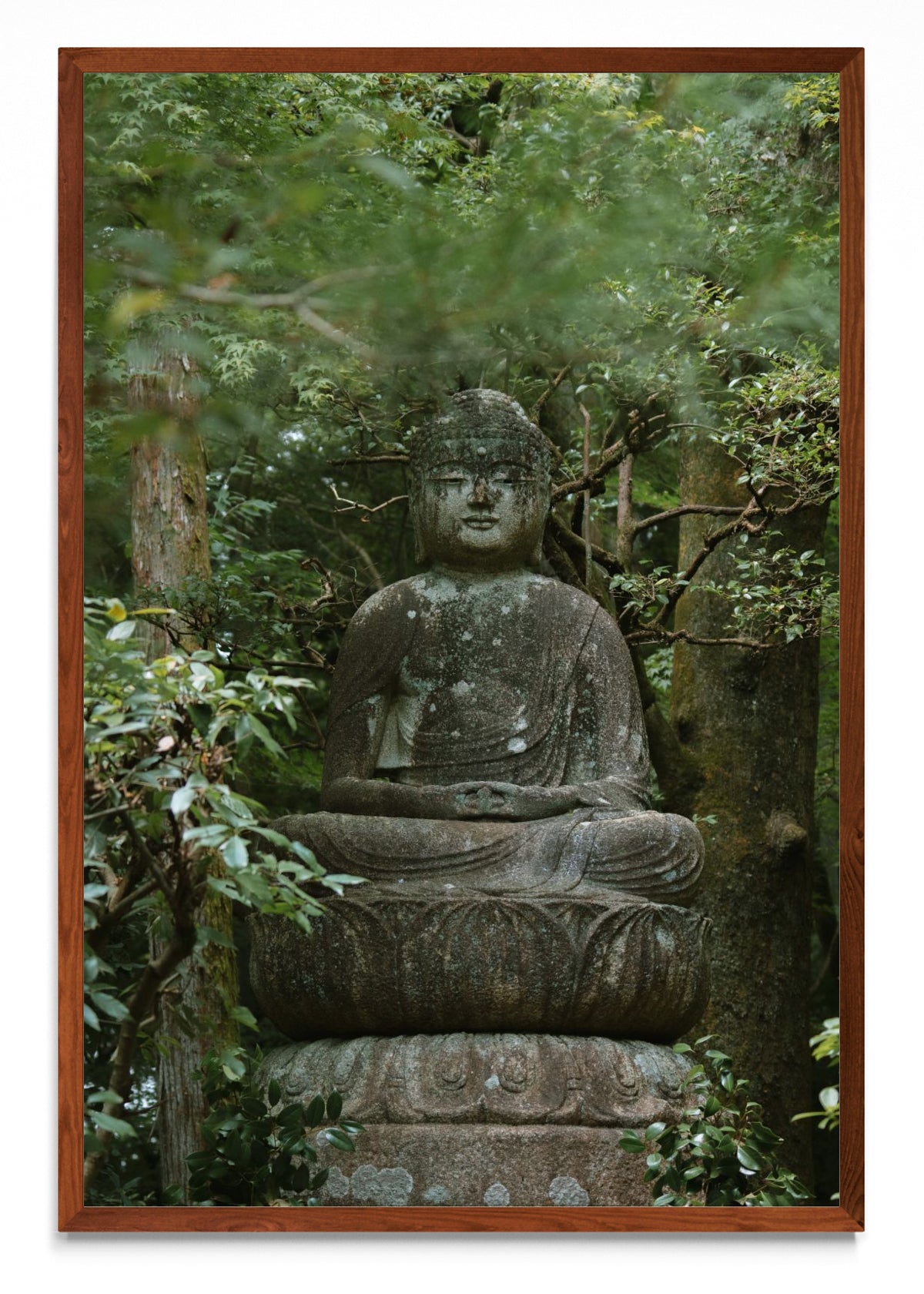 Kyoto Buda - FotoV MO