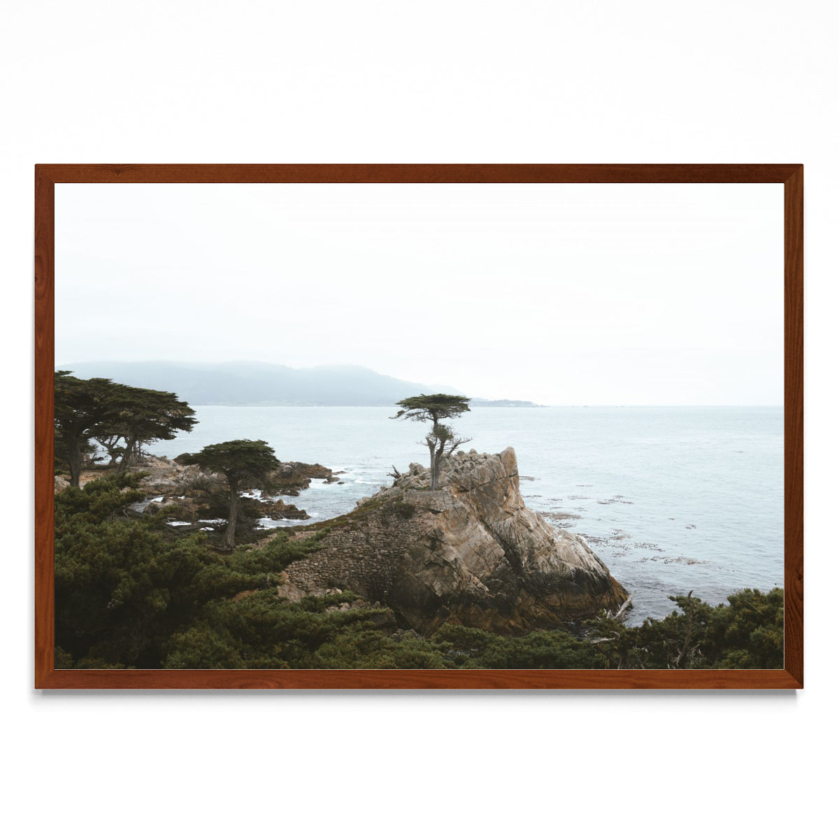 Lonely Cypress - FotoH MO