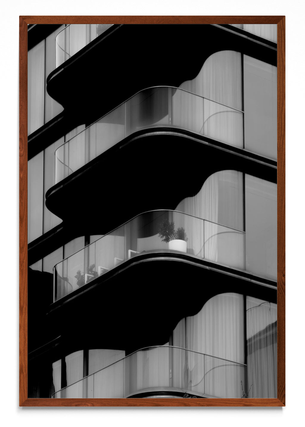 Curves - FotoV MO
