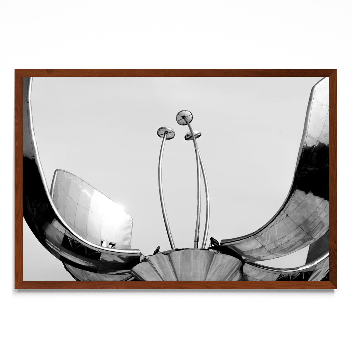 Floralis Generica - FotoH MO