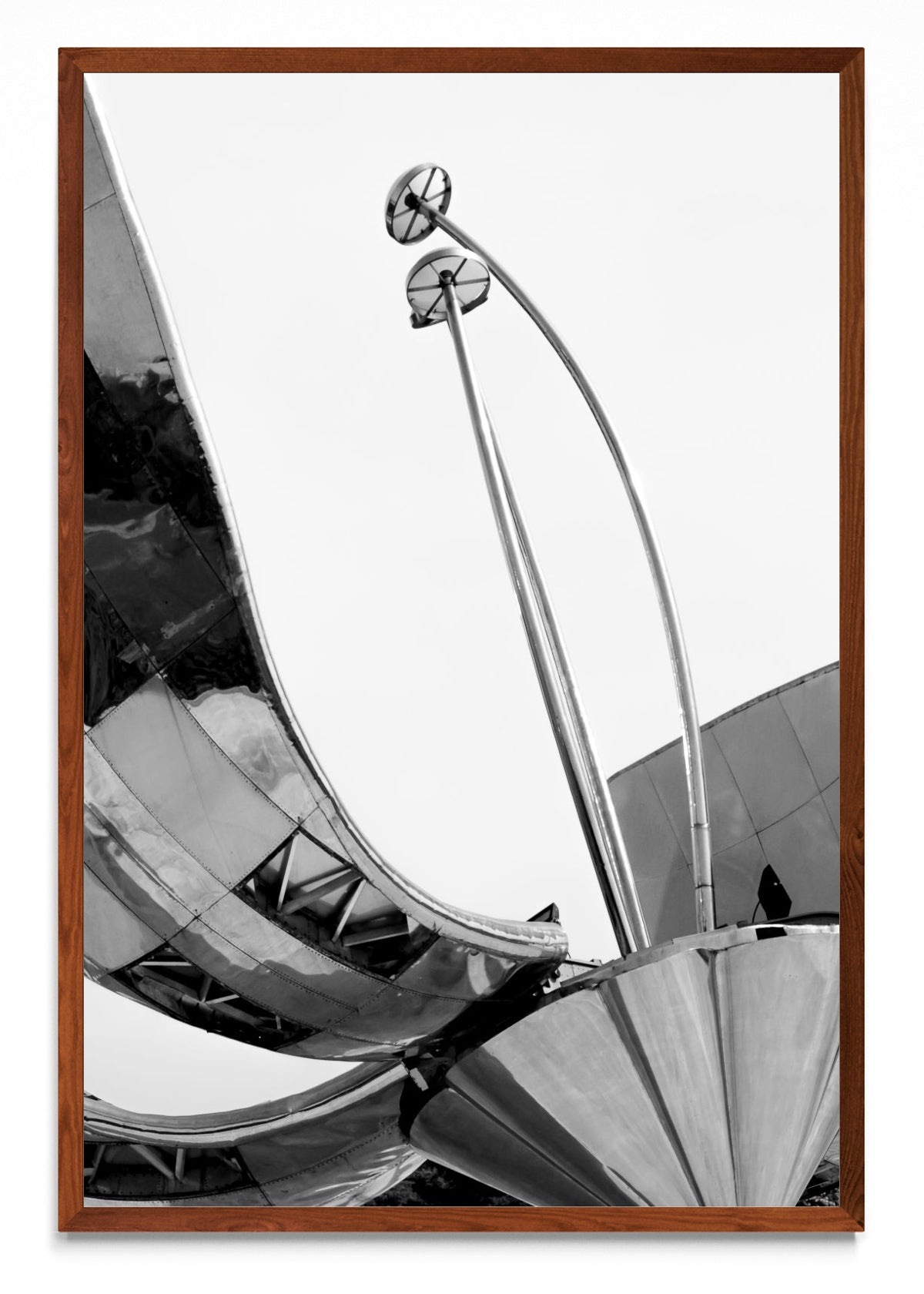 Floralis Acero - FotoV MO