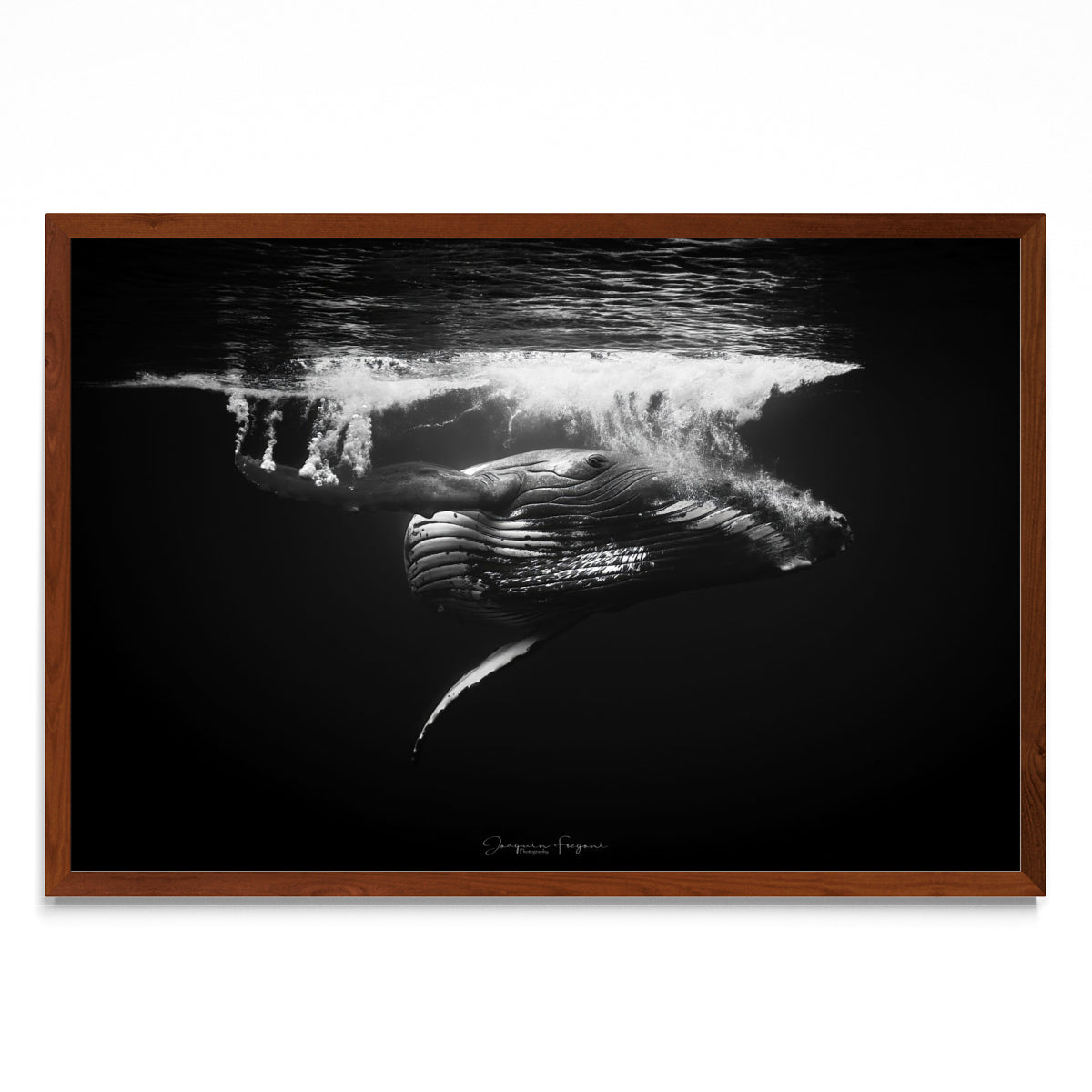 B&W - FotoH MO
