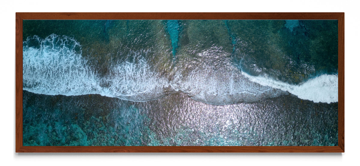 Reef - Pano H MO