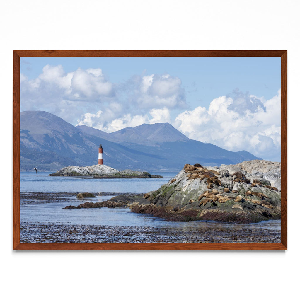 Navegando por el Canal de Beagle - Paisaje MO