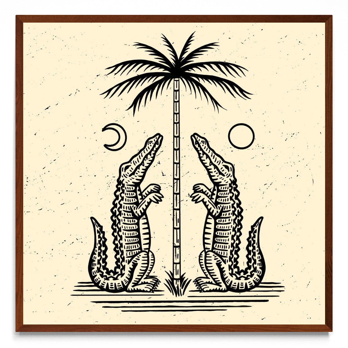 Cocos - cuadrado MO