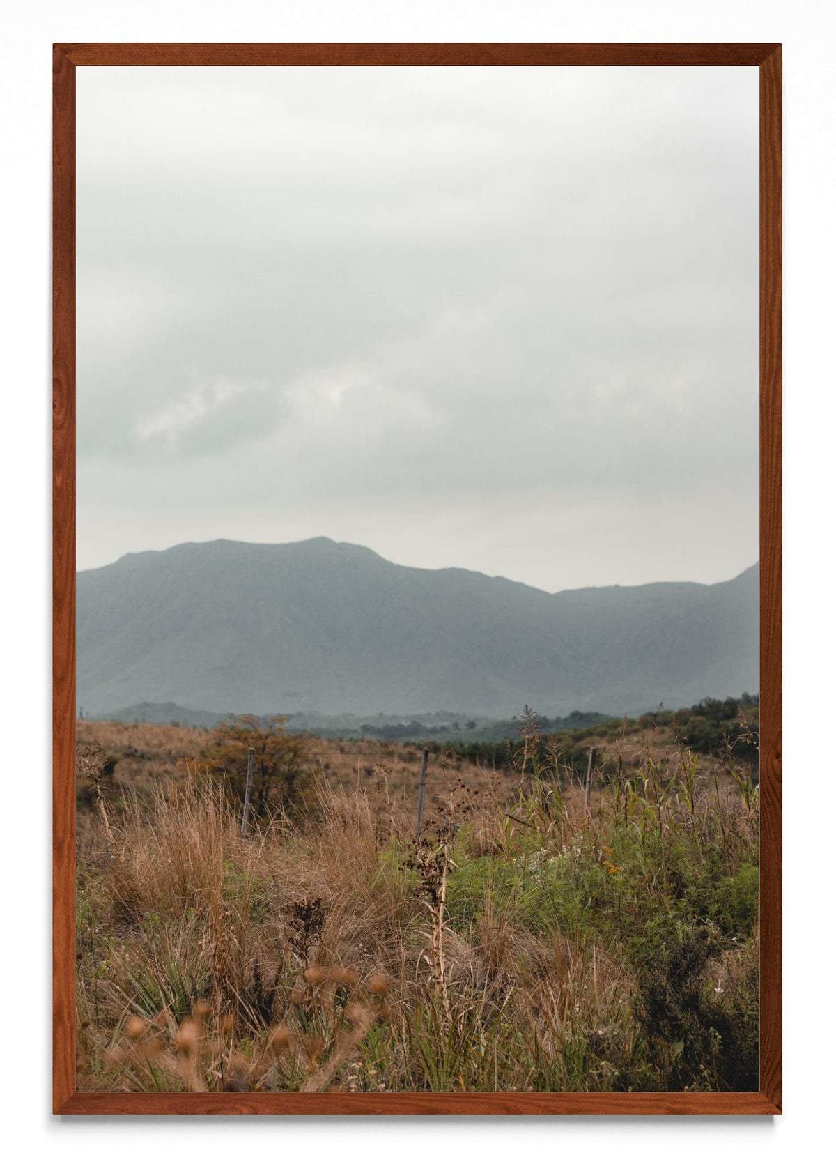 Altas Cumbres 2 - FotoV MO