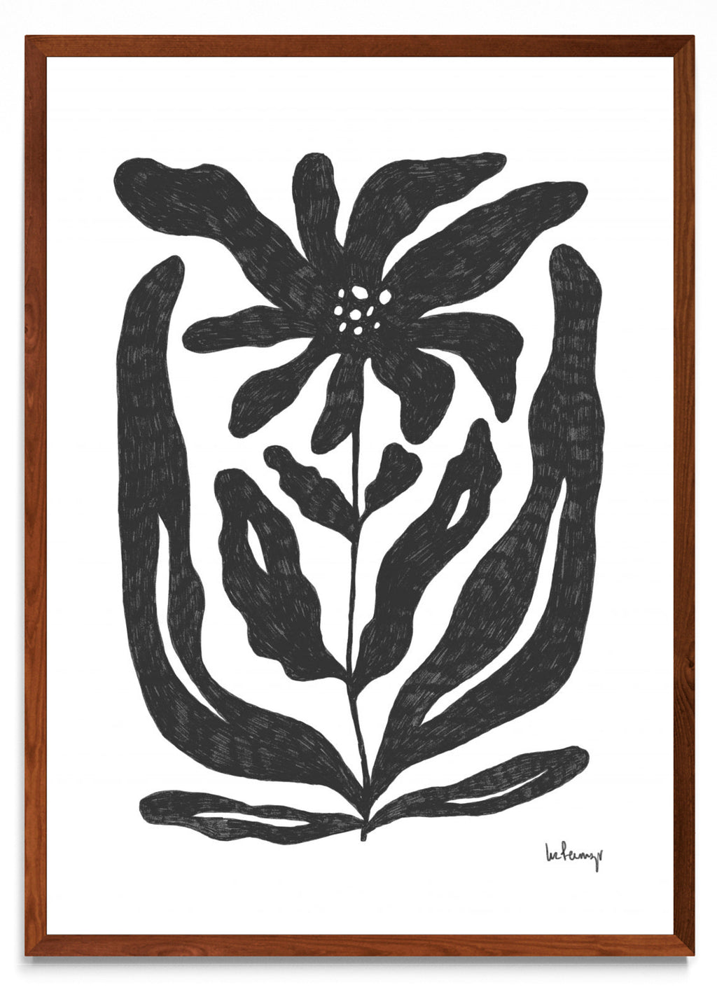 Flor casi negra 2 - Retrato MO