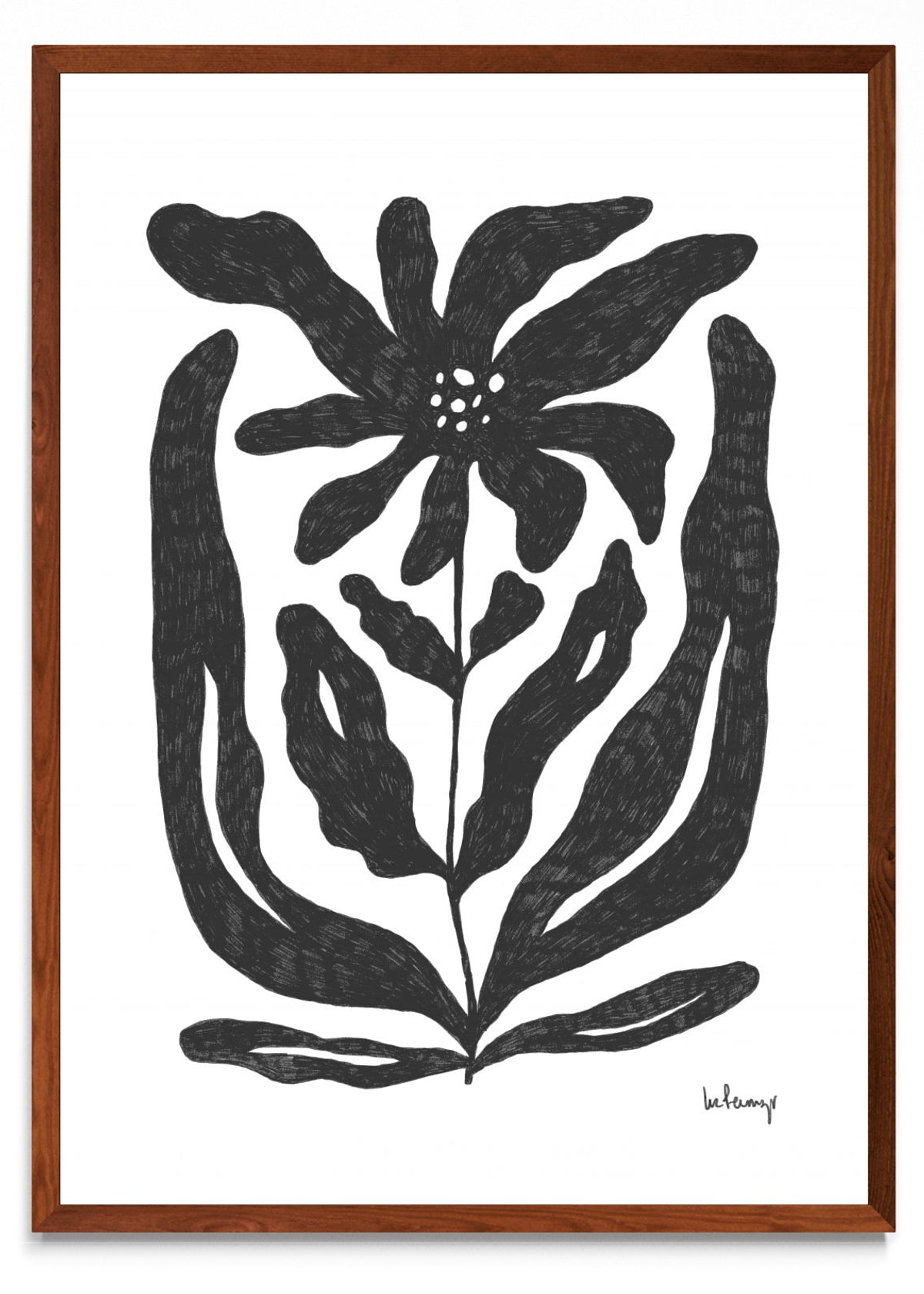 Flor casi negra 2 - Retrato MO