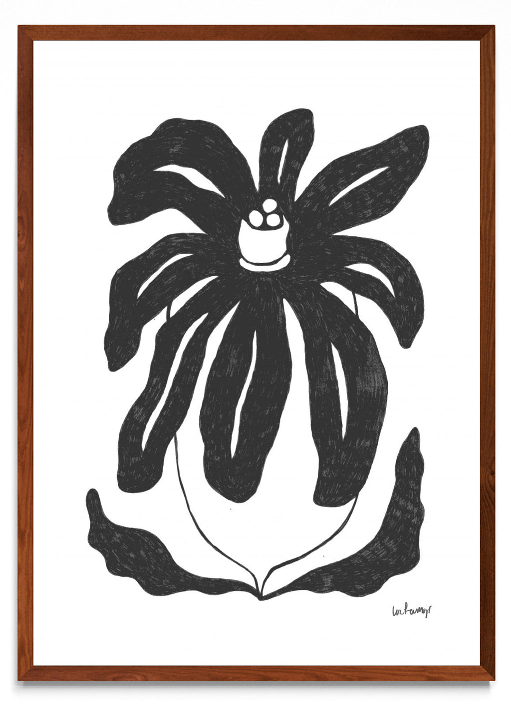 Flor casi negra 3 - Retrato MO
