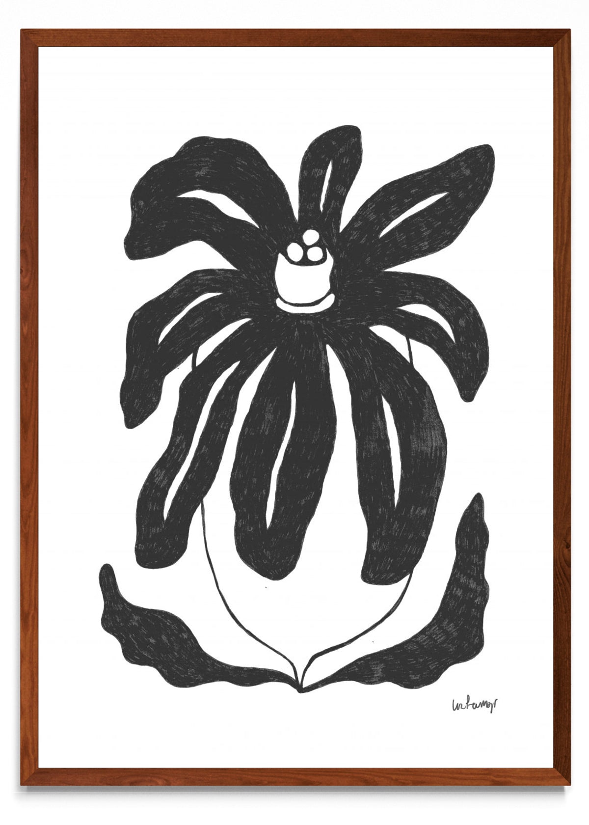 Flor casi negra 3 - Retrato MO