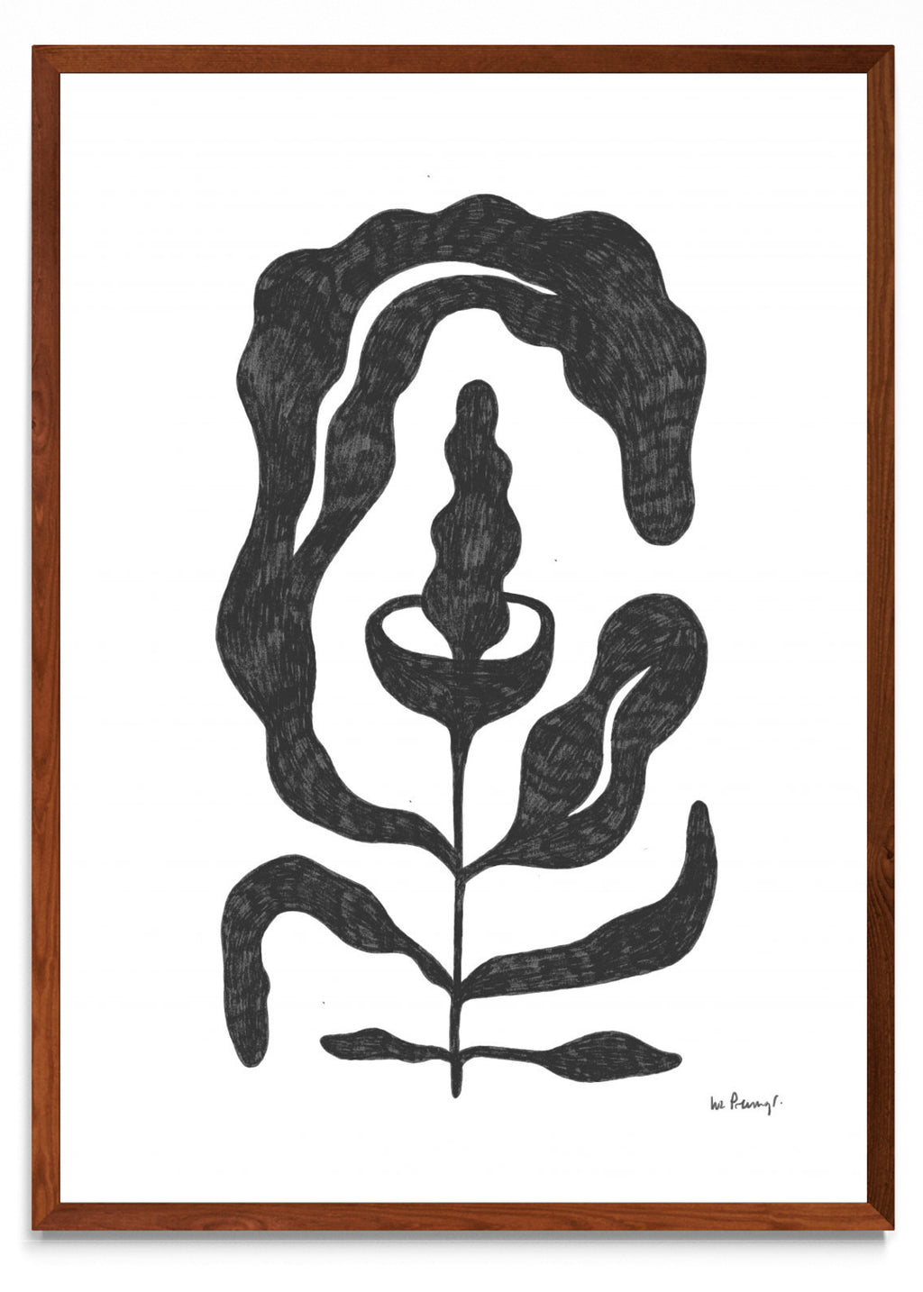 Flor casi negra 4 - Retrato MO