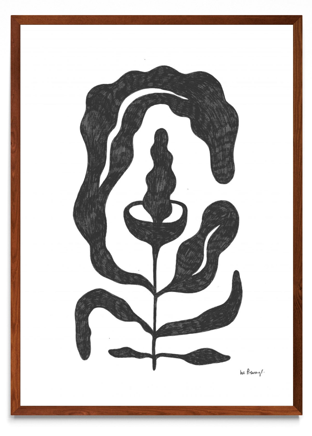 Flor casi negra 4 - Retrato MO