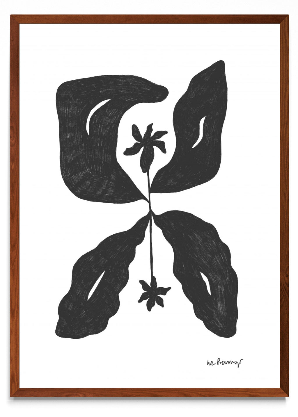 Flor casi negra 6 - Retrato MO