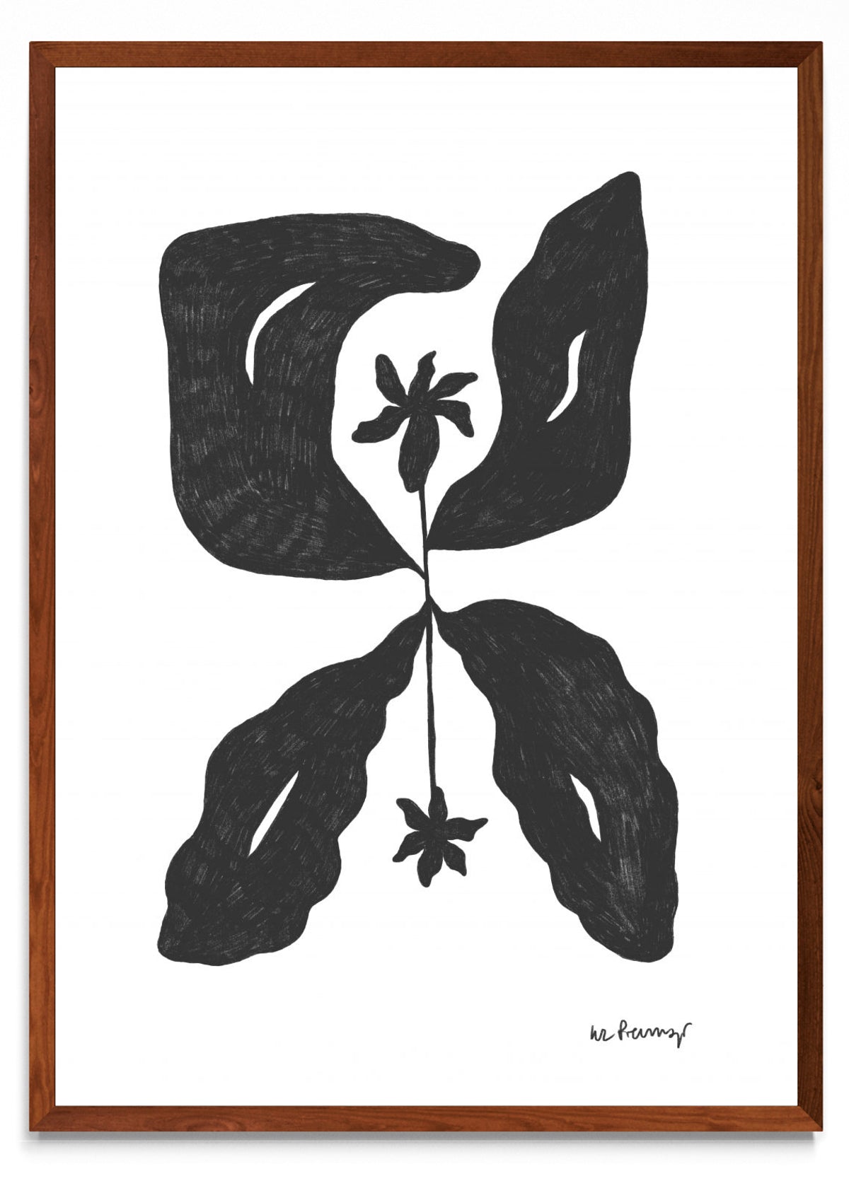 Flor casi negra 6 - Retrato MO
