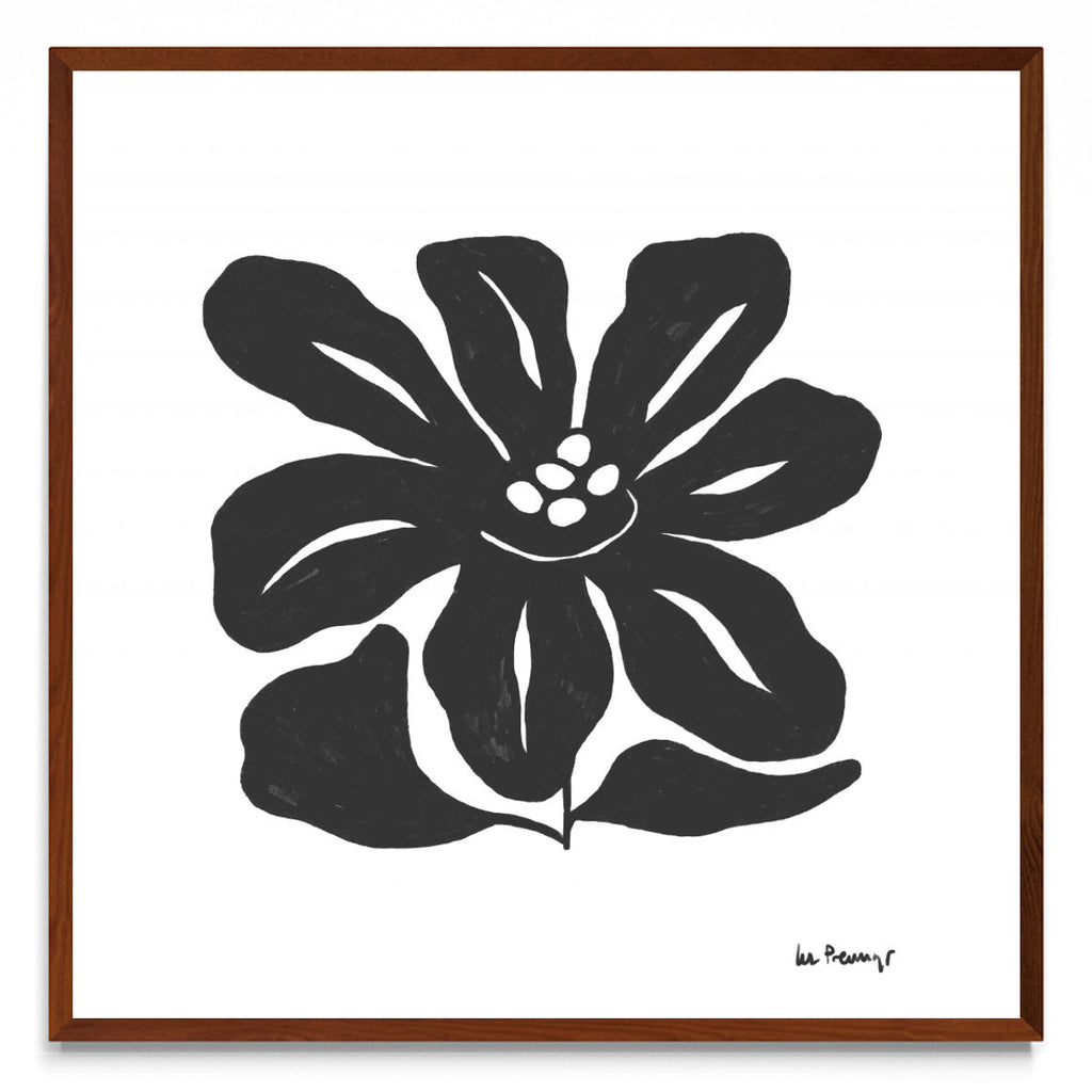 Flor casi negra 9 - cuadrado MO