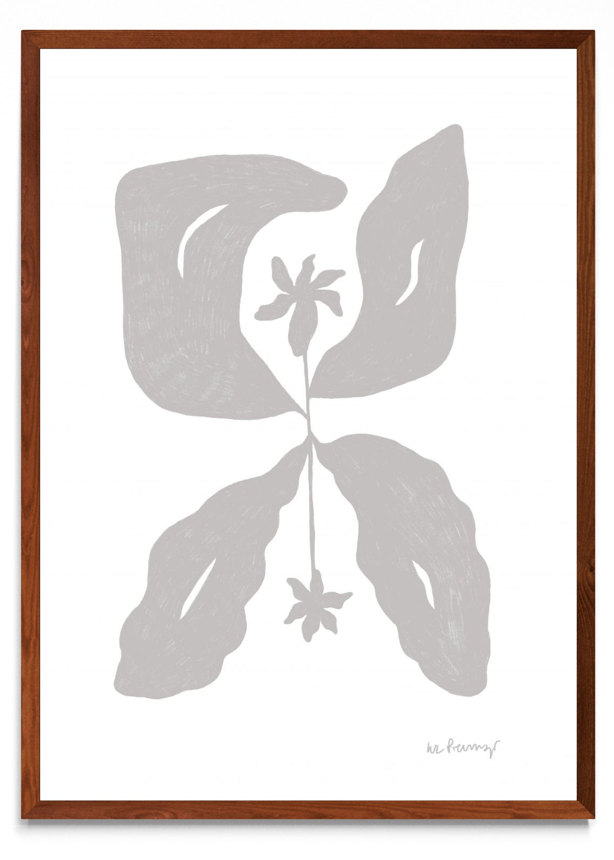 Flor neutra 7 - Retrato MO