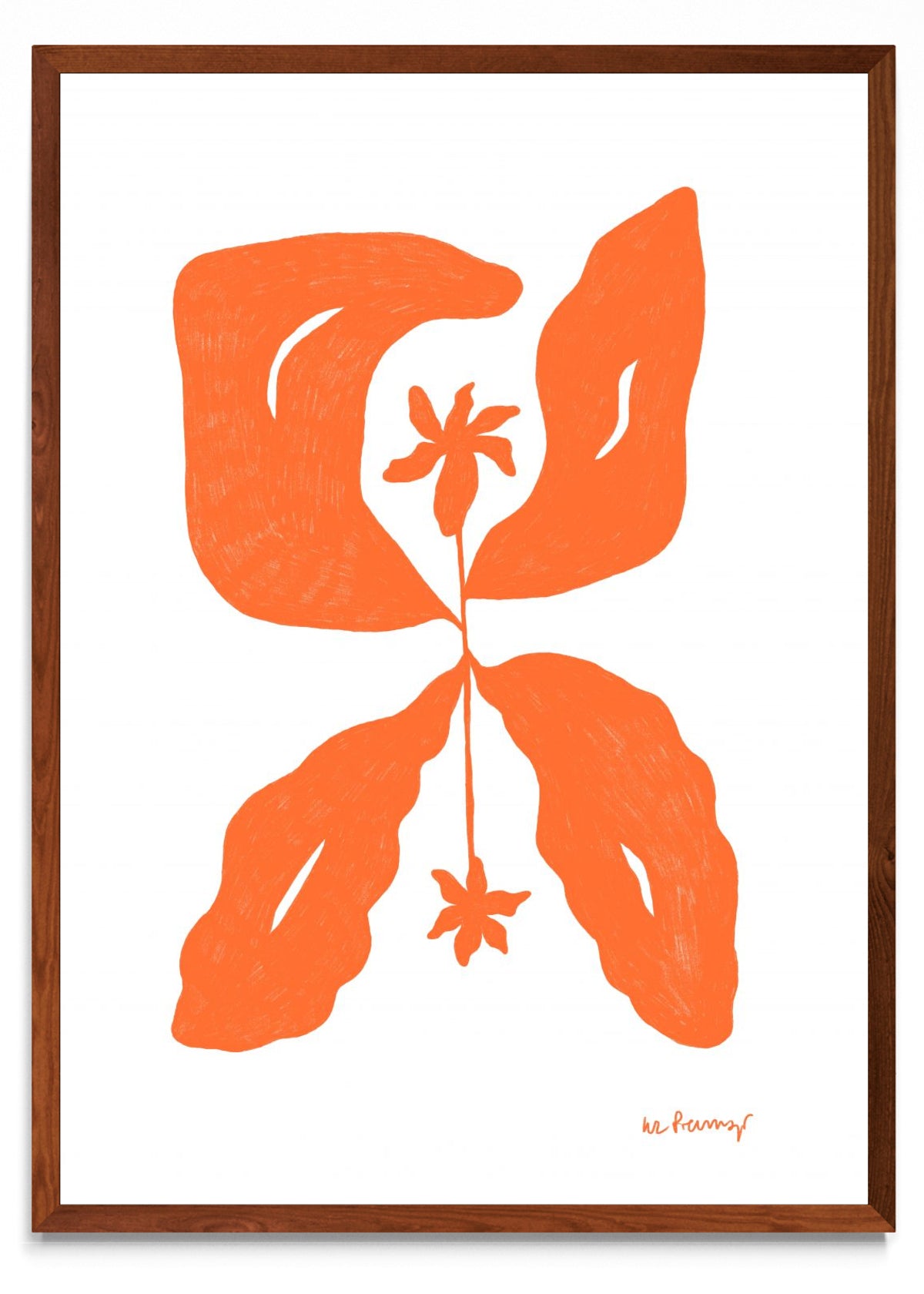 Flor naranja 6 - Retrato MO