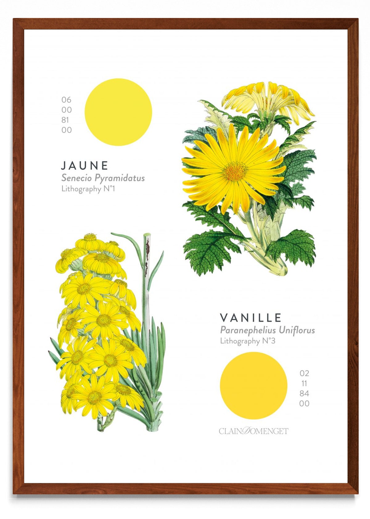FLEURS ET COULEURS - Retrato MO