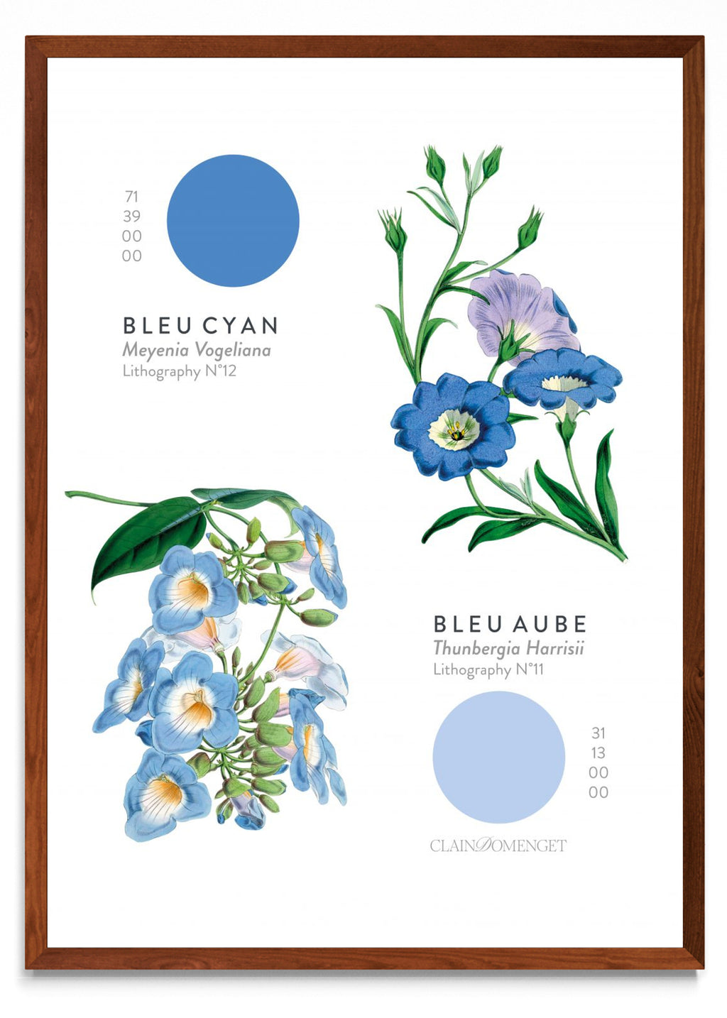 FLEURS ET COULEURS - Retrato MO