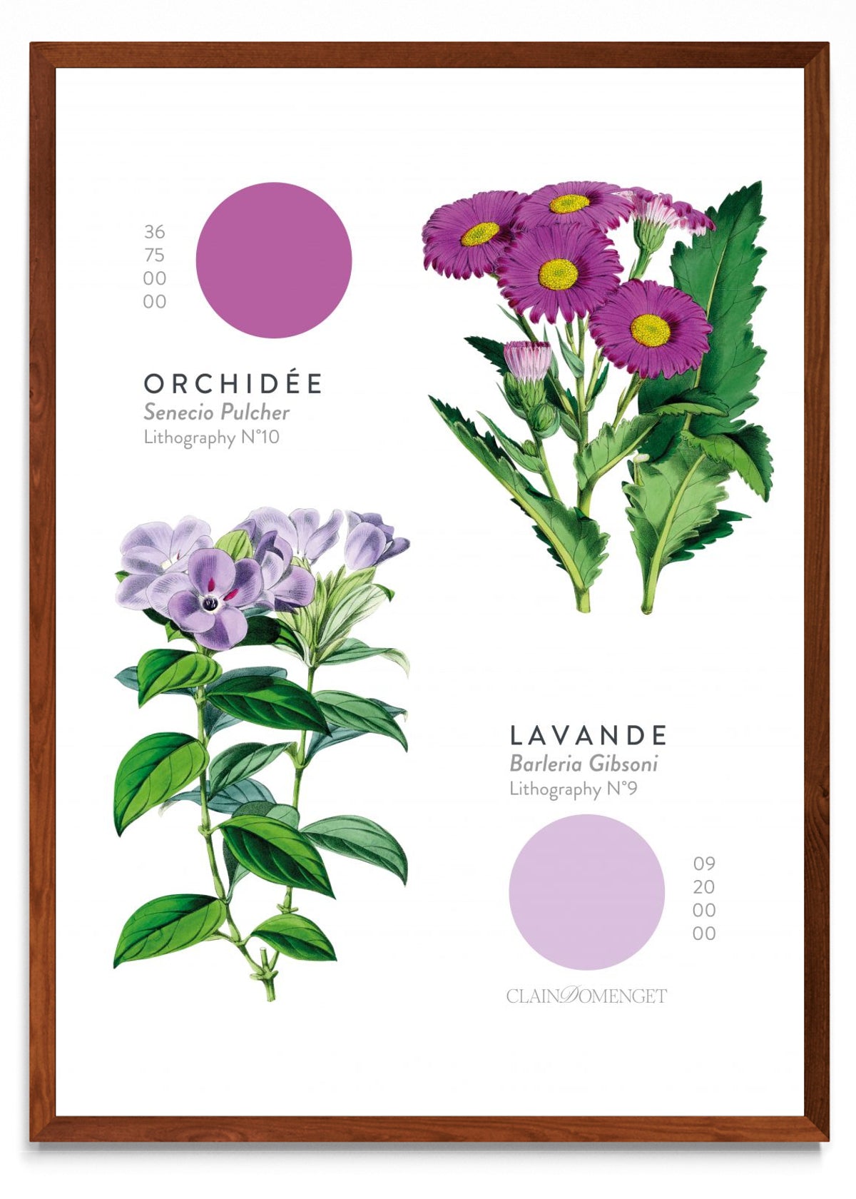 FLEURS ET COULEURS - Retrato MO
