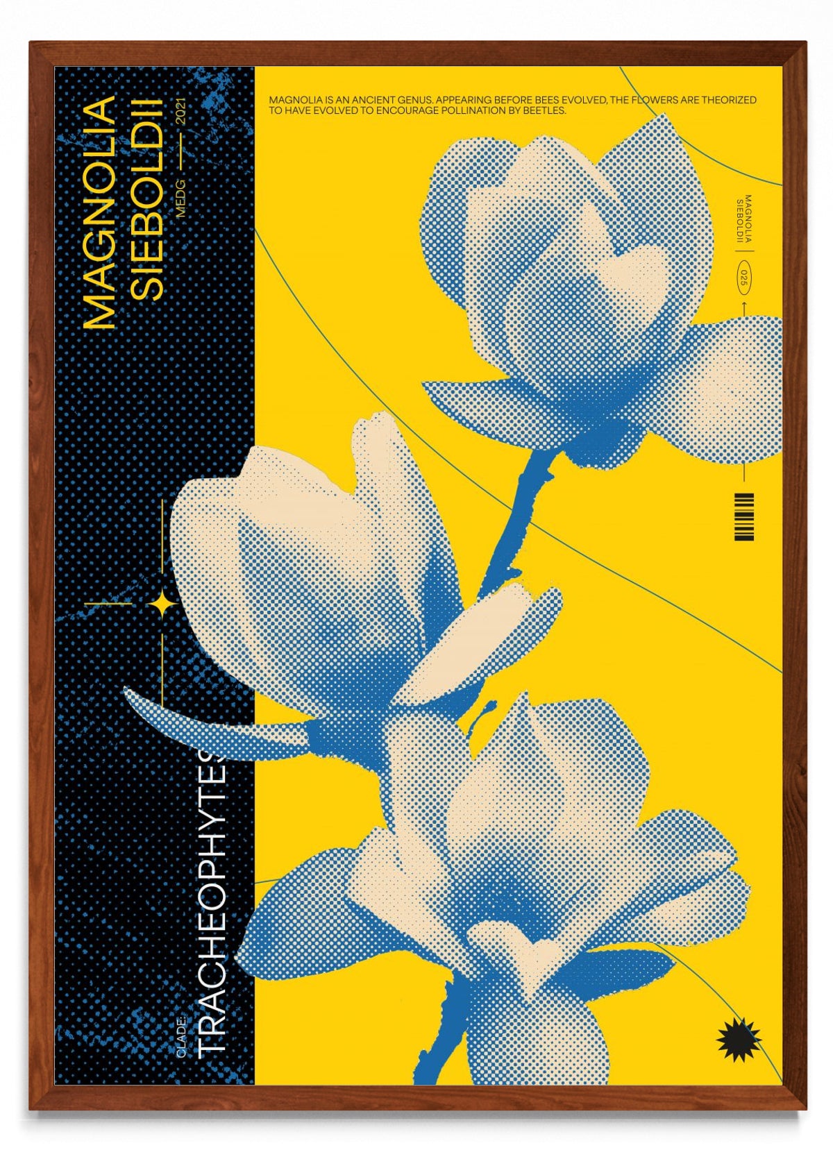 Magnolia - Retrato MO
