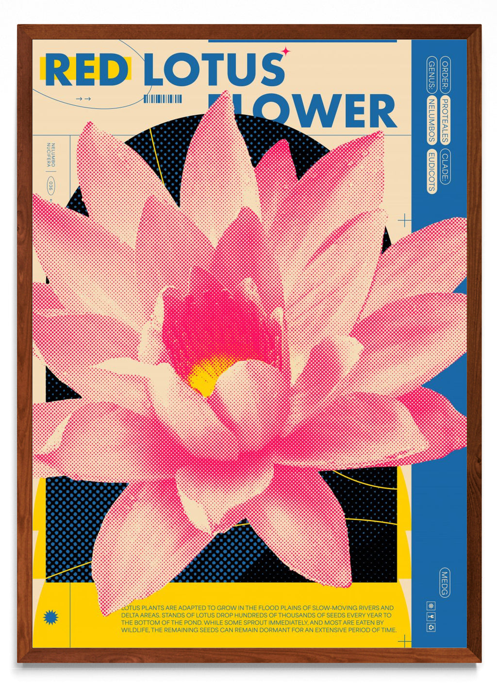 Red Lotus - Retrato MO