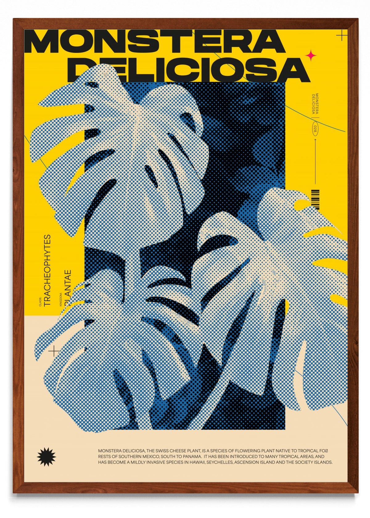 Monstera Deliciosa - Retrato MO